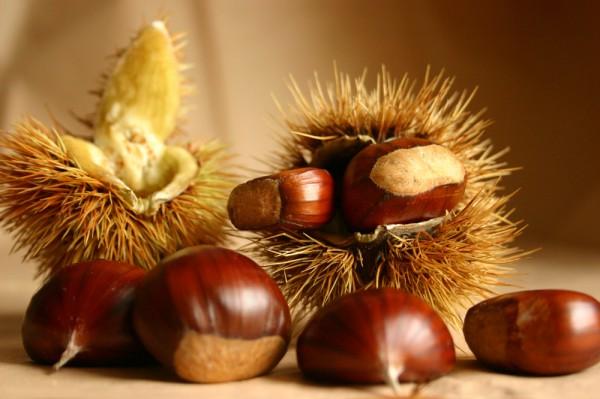 Castagne - Prodotto tipico di Rocca di Papa